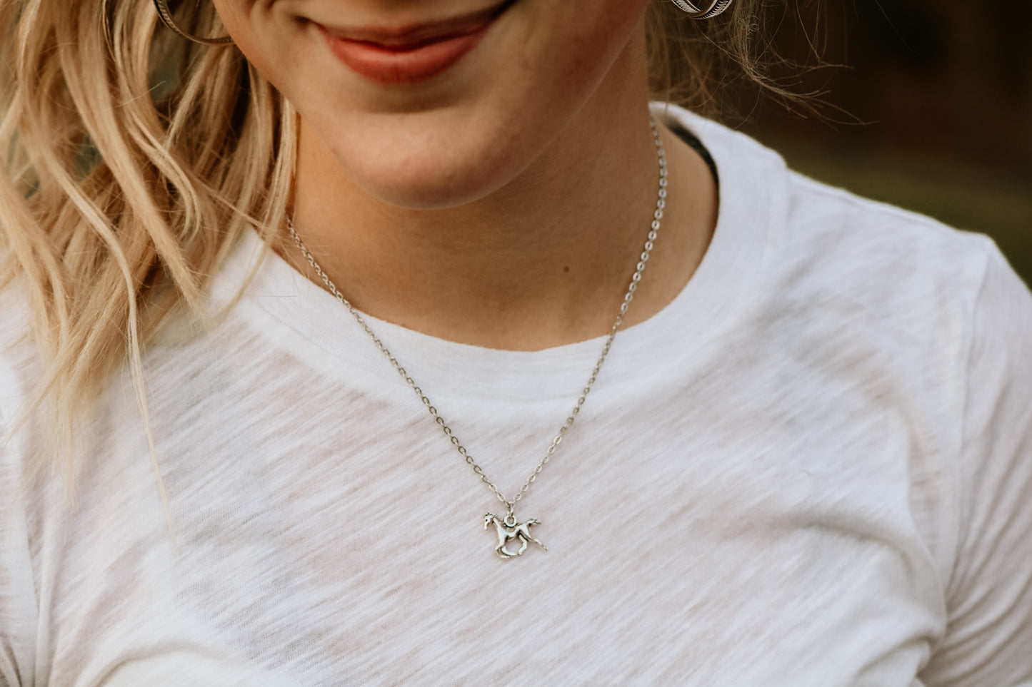 Charm Necklace (1)