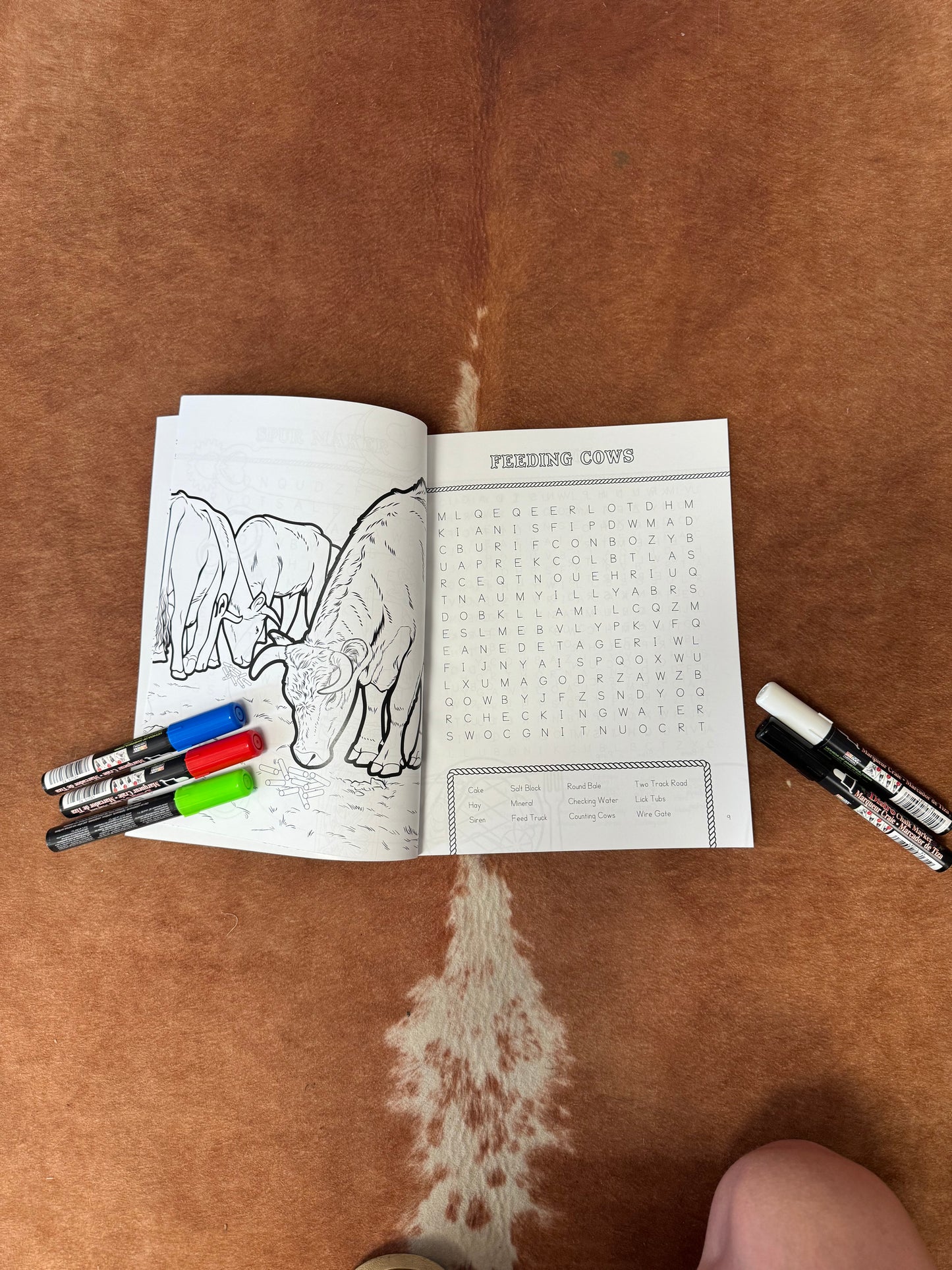 Western Word Search Workbook