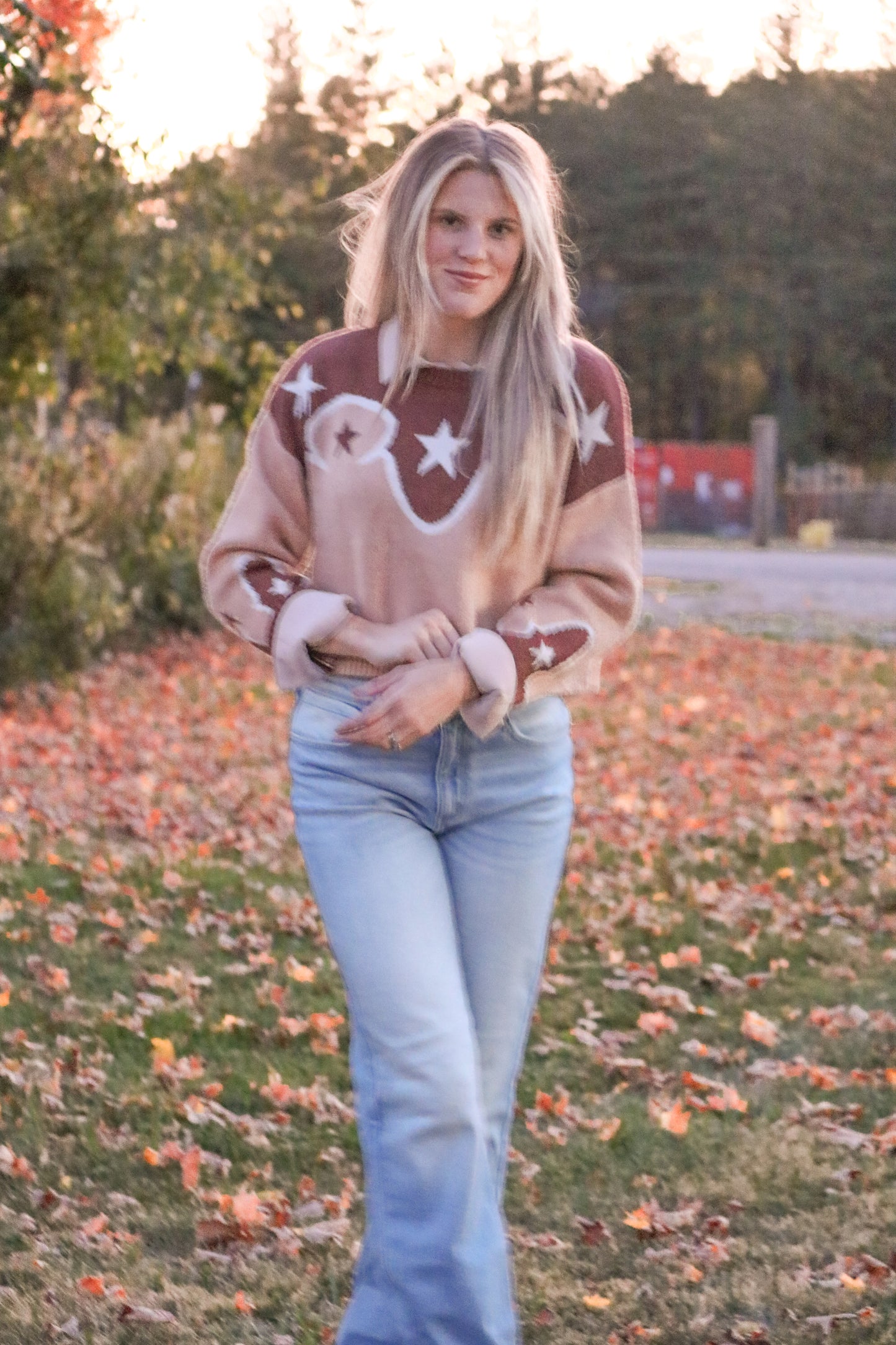 Western Star Cropped Sweater