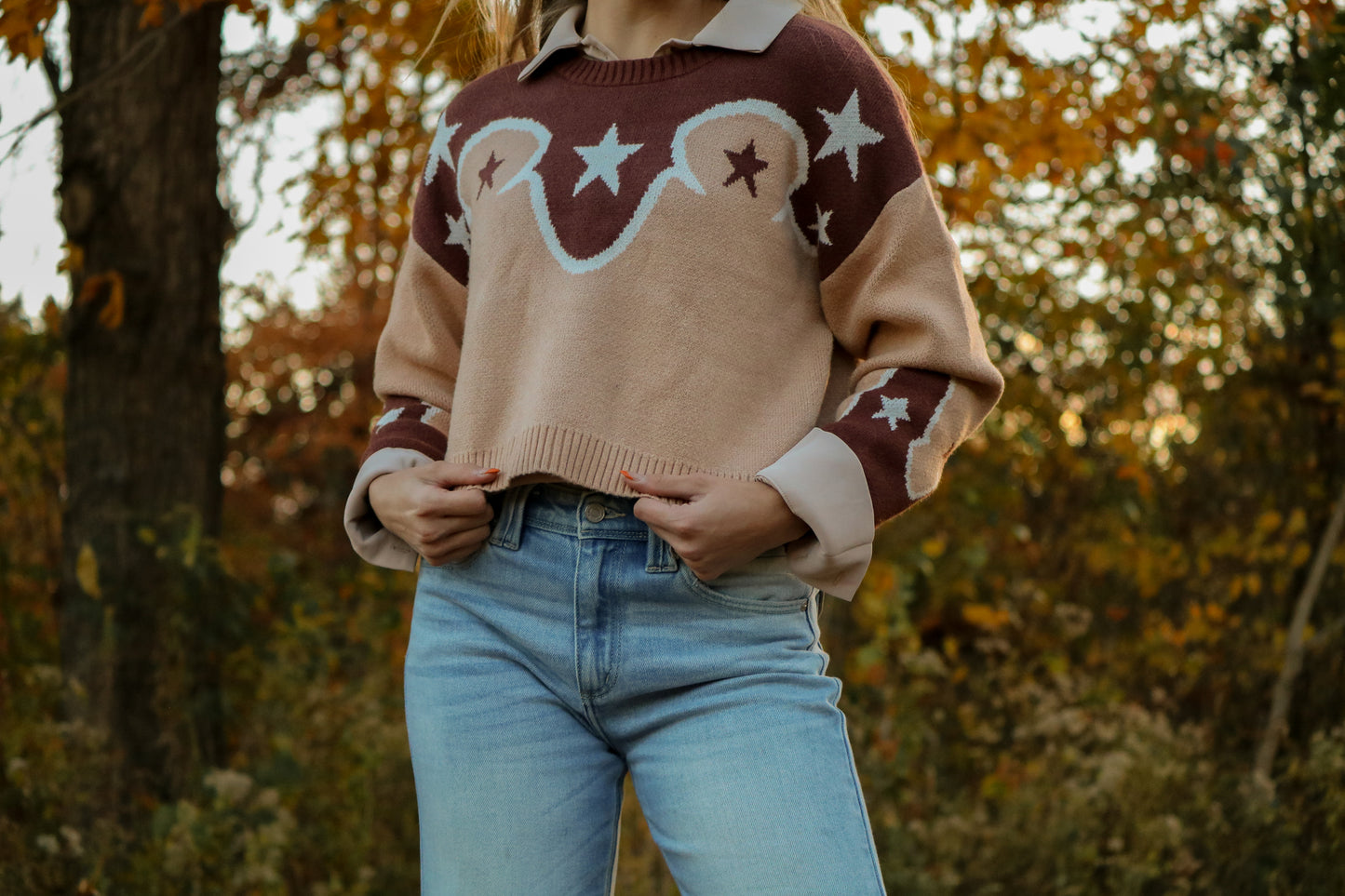 Western Star Cropped Sweater